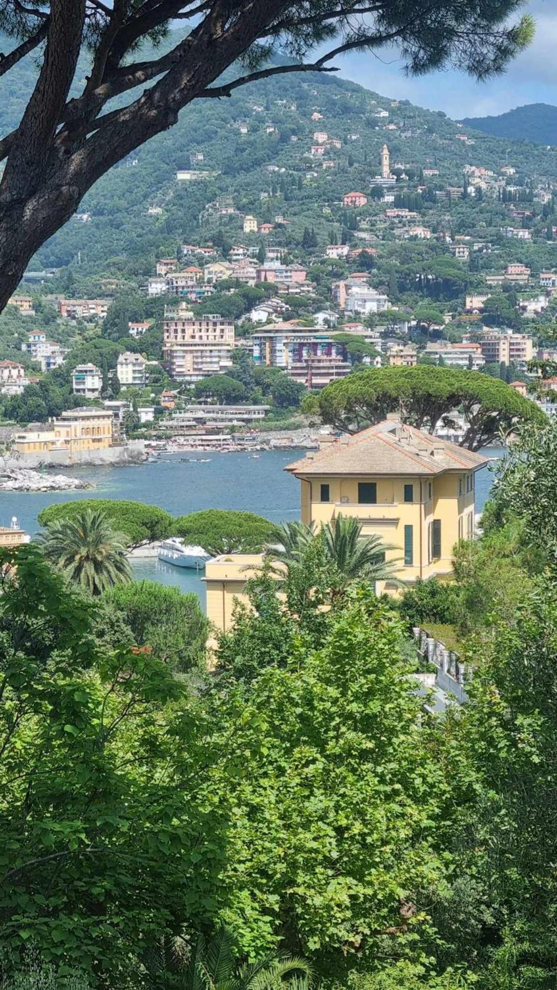La Dolce Villa Rapallo Esterno foto